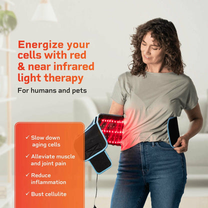 Pain Relief Red Light Therapy Belt - Hot Sale 50% Off