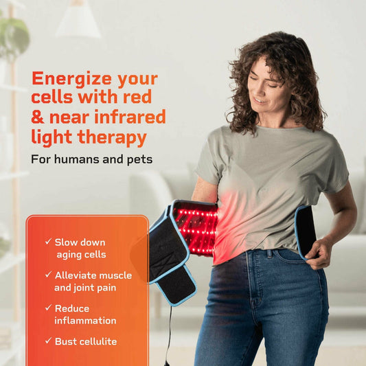 Pain Relief Red Light Therapy Belt - Hot Sale 50% Off